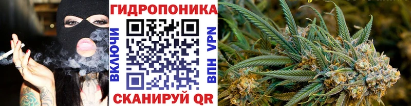 где можно купить   Кемь  Канабис LSD WEED 